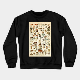 Champignon I Vintage French Mushroom Chart Crewneck Sweatshirt